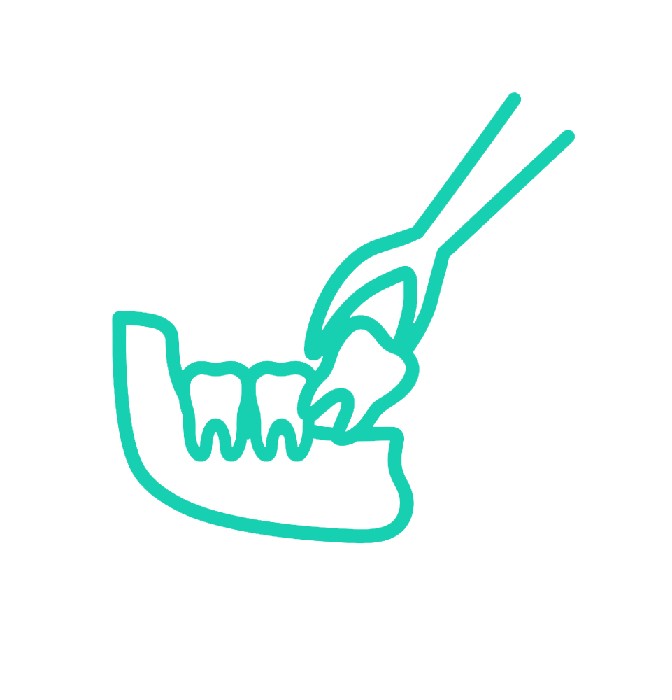 dental procedure icon